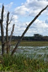killbuck marsh wayne county ohio
