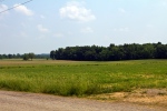 farmland near Shreve